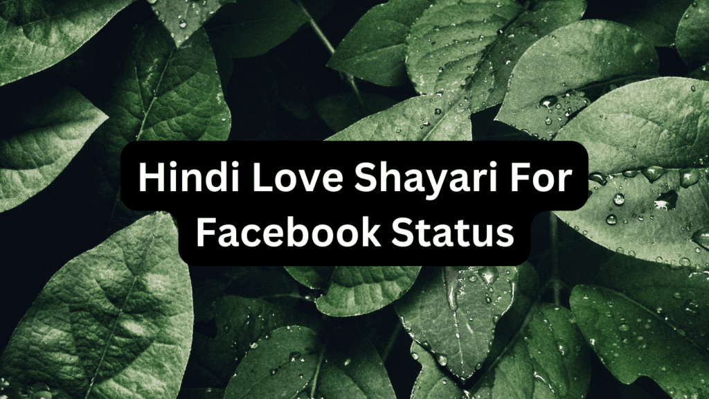Hindi Love Shayari For Facebook Status