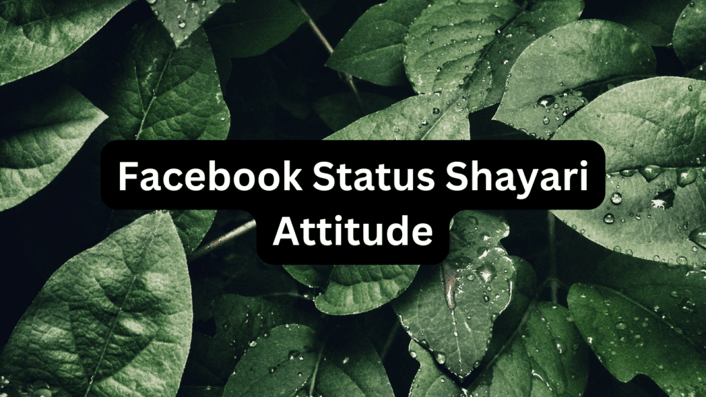 Facebook Status Shayari Attitude