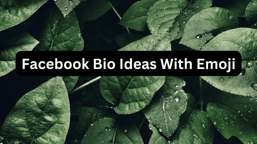 Facebook Bio Ideas With Emoji