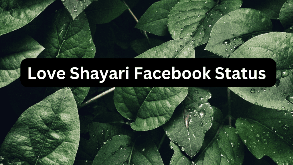 Love Shayari Facebook Status