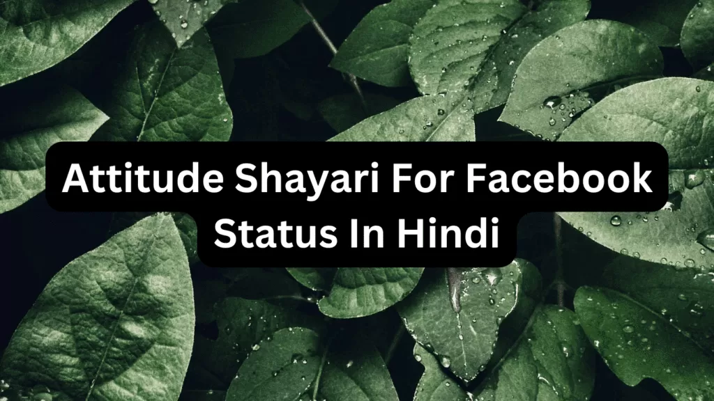 Attitude Shayari For Facebook Status In Hindi