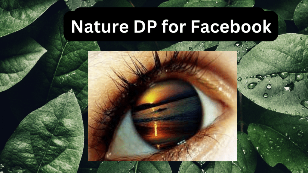Nature DP for Facebook