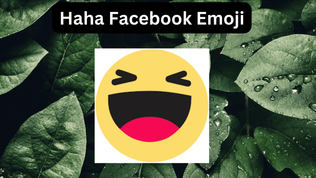 Haha Facebook Emoji